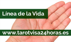 línea de la vida